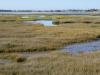 Gu�rande environnement  en assembl�es g�n�rales